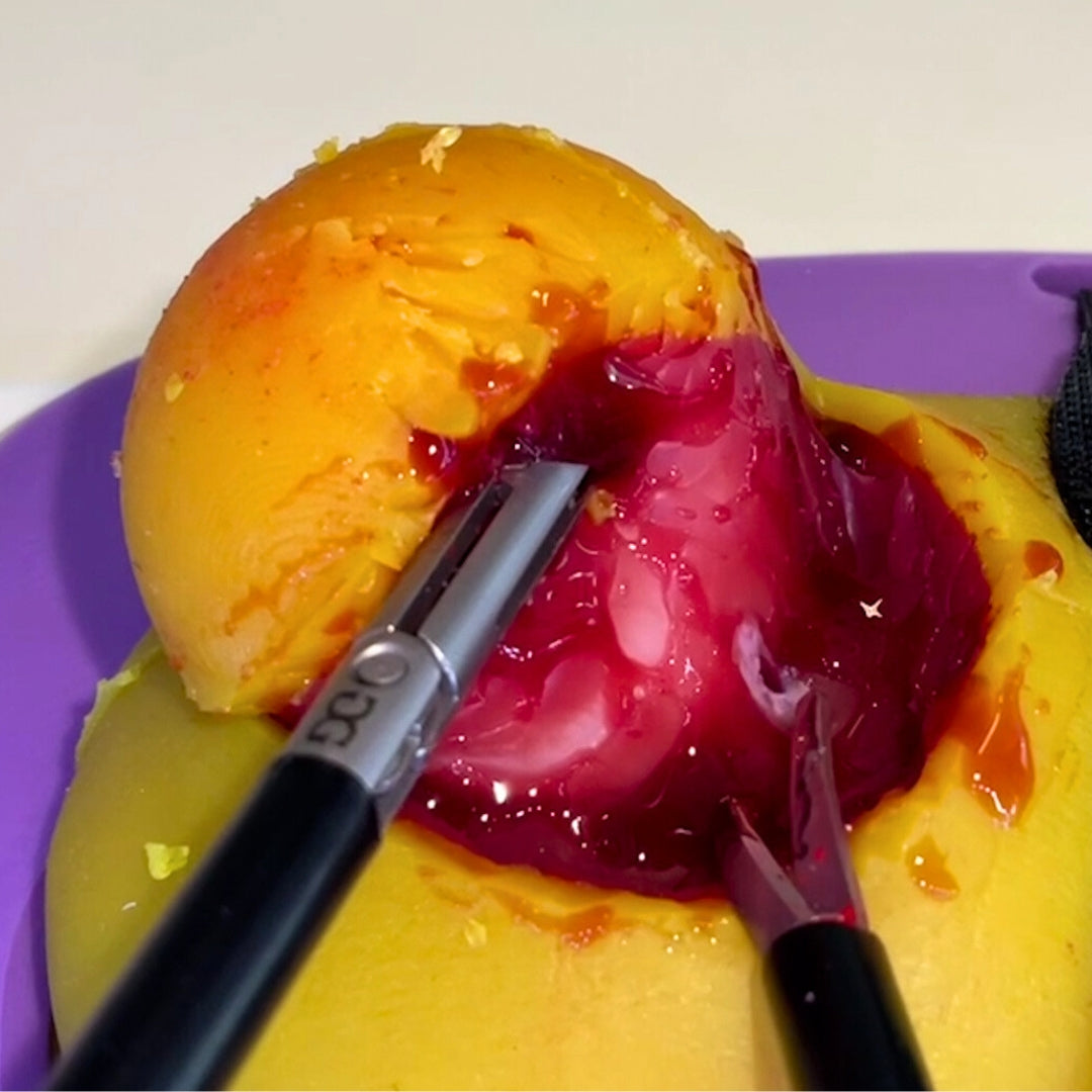 Perfused Model - Partial Nephrectomy Simulator