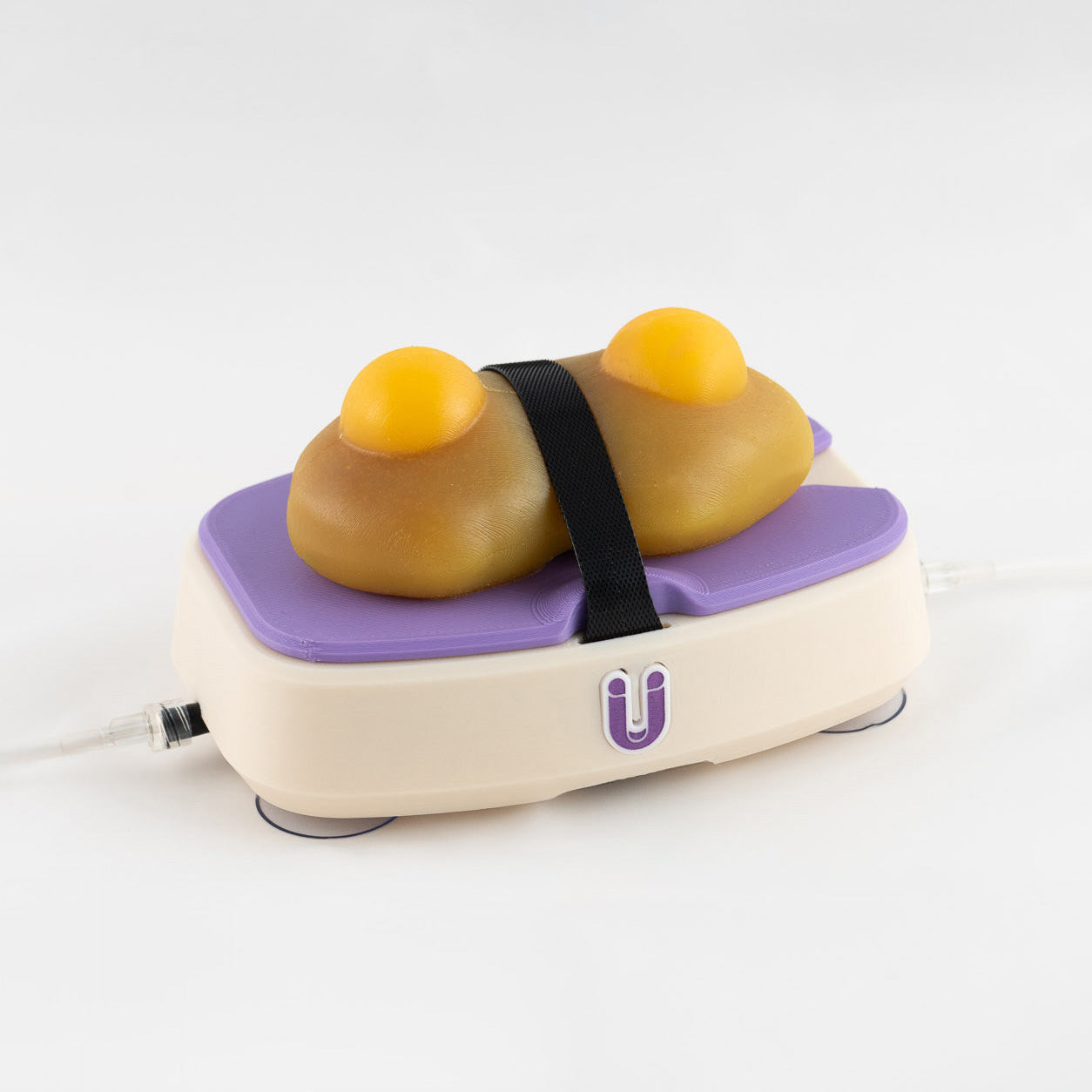 Perfused Model - Partial Nephrectomy Simulator