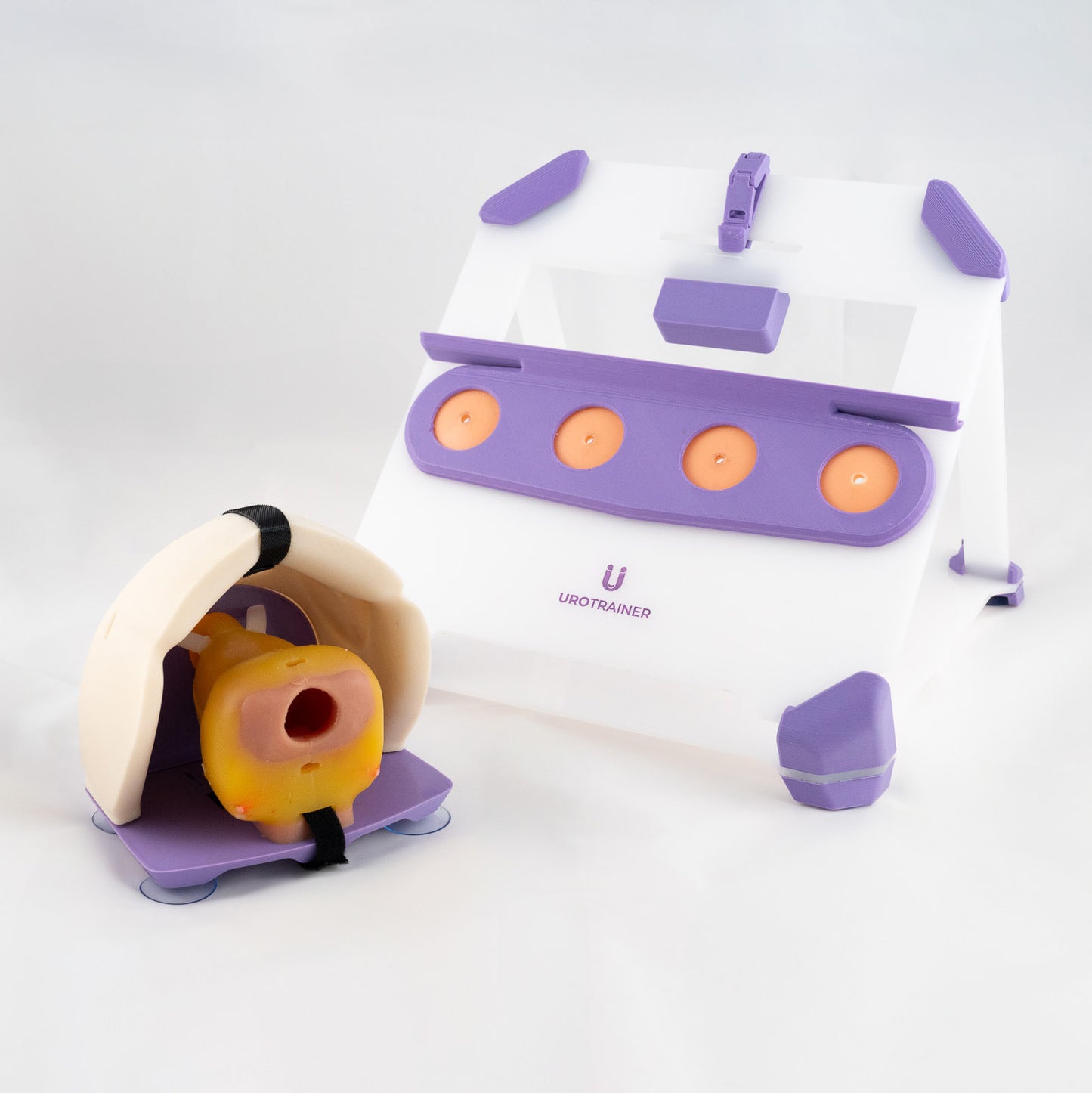 Radical Prostatectomy - Training Kit