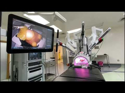 Kidney model - Partial Nephrectomy Simulator